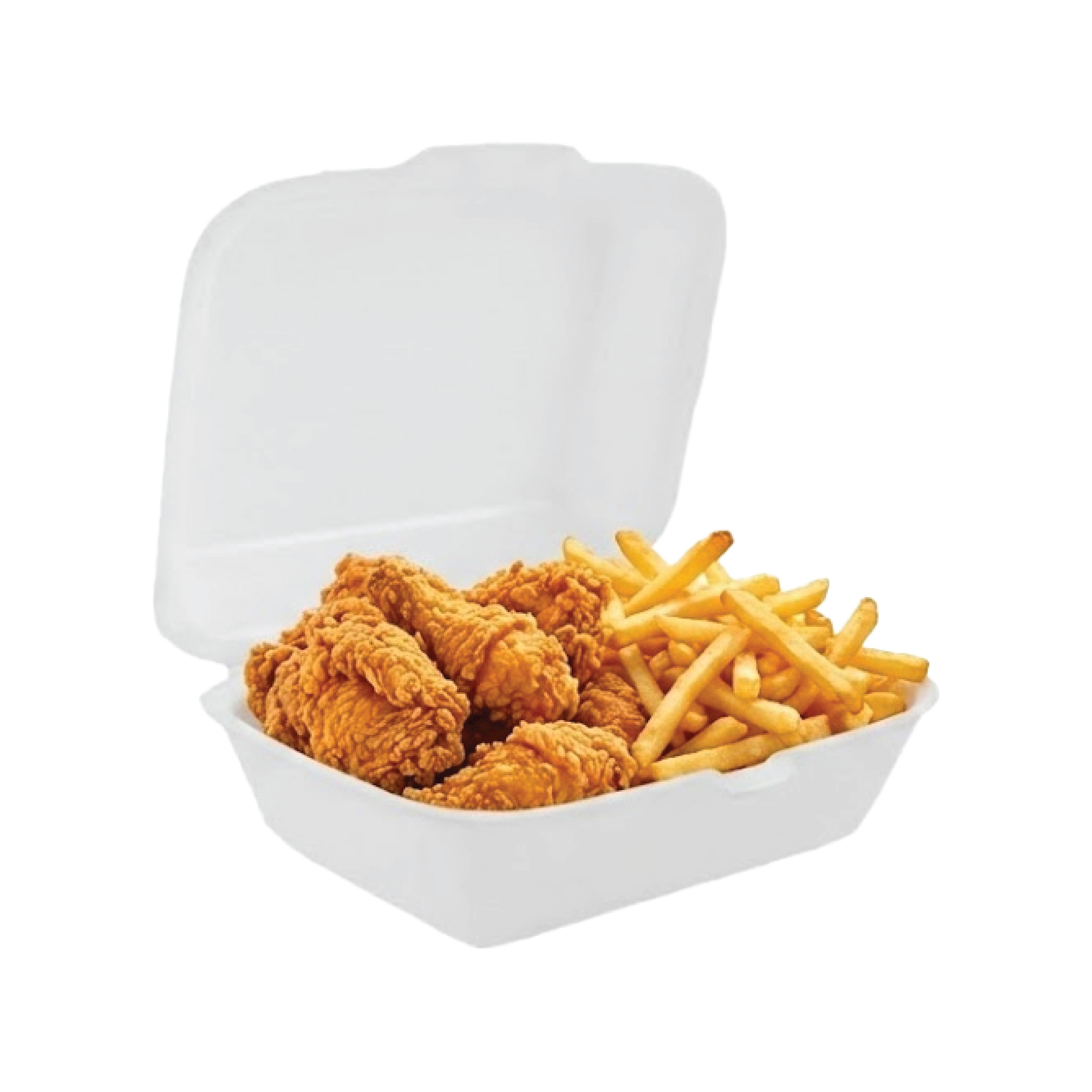 Lunch Foam Box