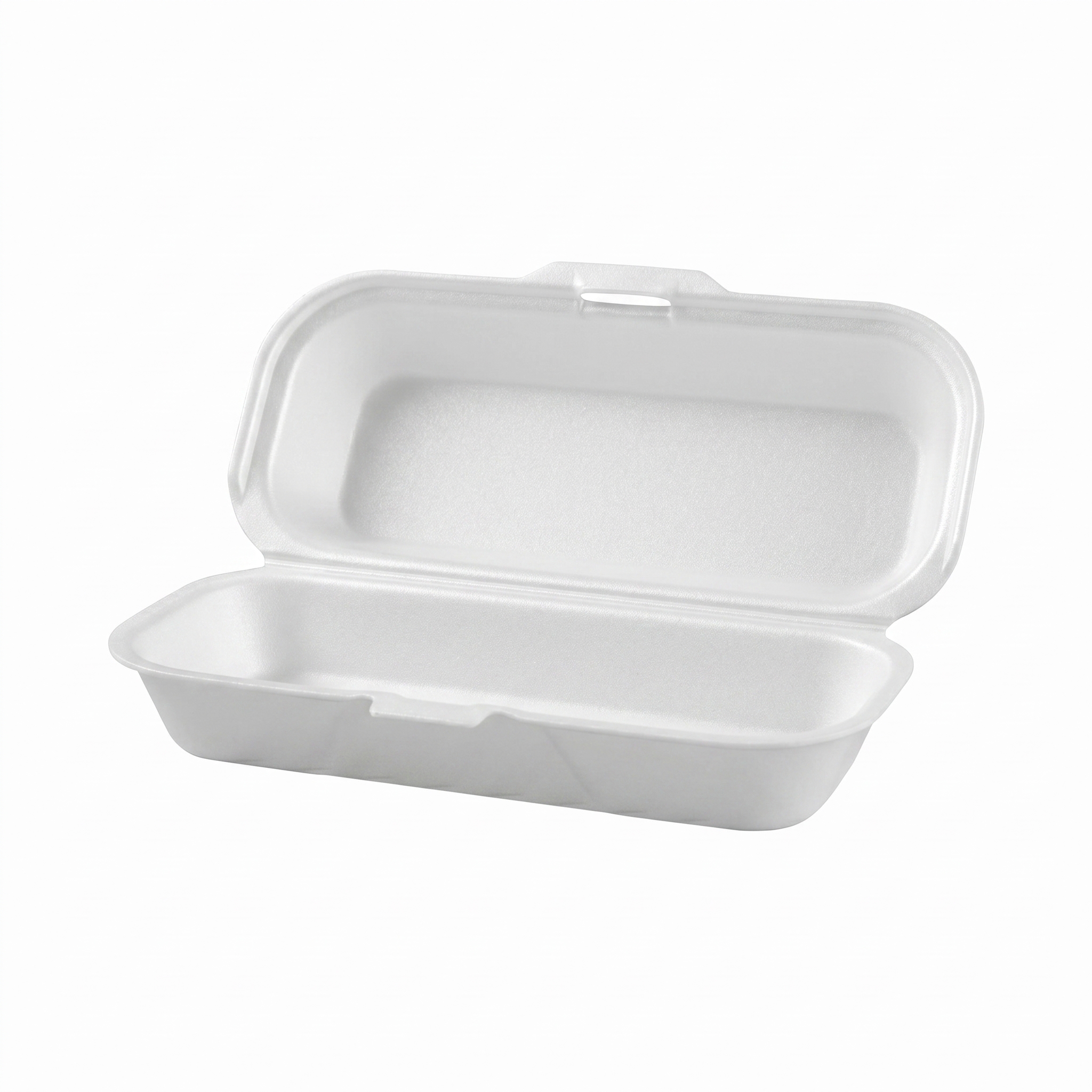 Hot Dog Foam Box