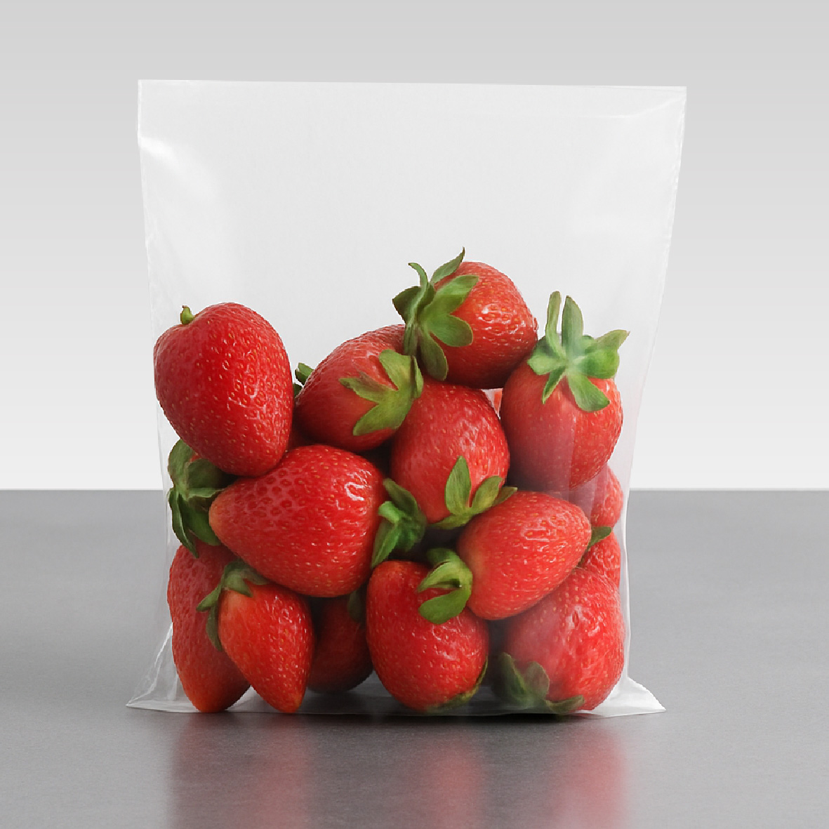 Food Storage Bags
