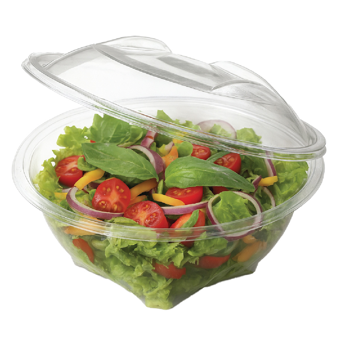 Salad Containers